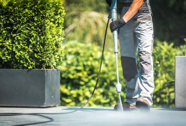 Best Rust Removal  in Jamesburg, NJ
